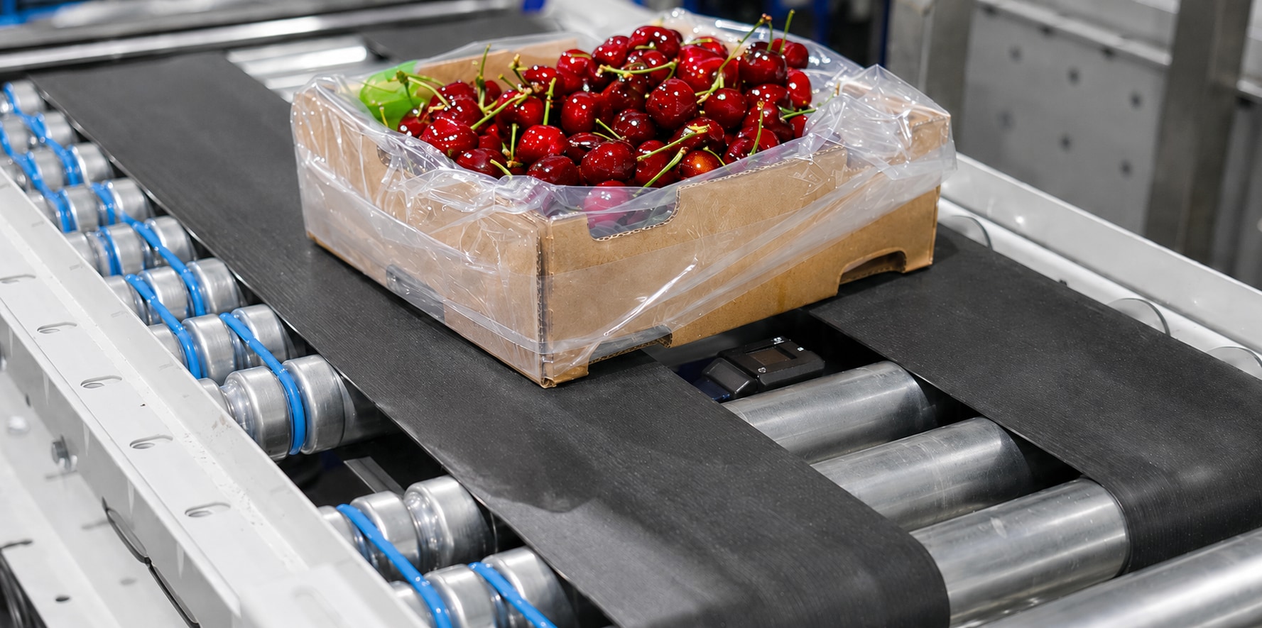 Bandeja de cerezas en línea de packing con sistema de marcado integrado